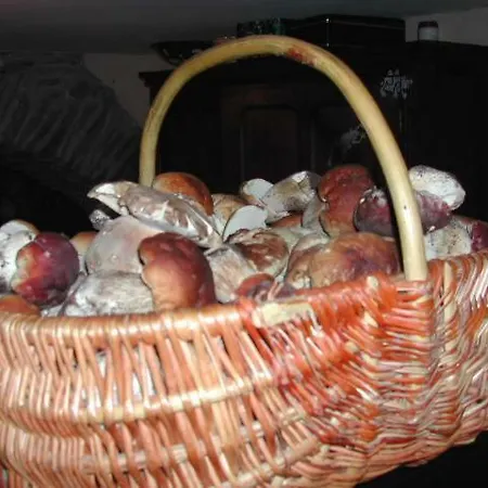 Le Grenier D'annick Lägenhet
