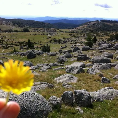 Lägenhet Le Grenier D'annick
