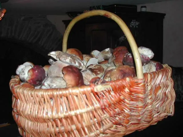 Le Grenier D'annick Apartmán